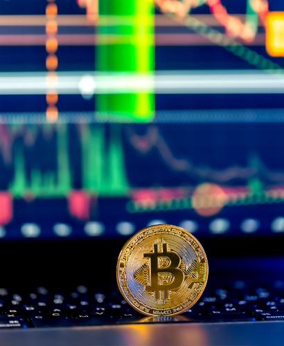 Team von Mono Dor bei der Marktanalyse